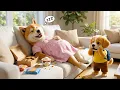 Lagu Baby Puppy Lets Mom Eat Only Snacks 🍪🍩…What He Does to Help Her Lose Weight Will Melt Your Heart 💪🥕🐶