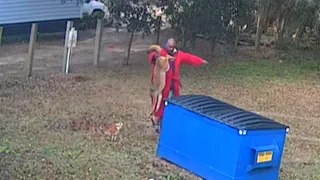Man Grabs Coyote s Tail to Save Beloved Dog s Life