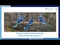 JHU AAP Int l New Student Orientation Pre-Arrival Webinar