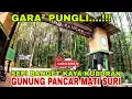 Lagu kaya kuburan‼️banyak wisata bangkrut, gunung pancar kini mati suri 