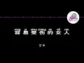 王菲 《容易受伤的女人》 Pinyin Lyrics 动态拼音歌词 4k