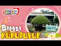 Bimbi - Kukuruyuk (Official Kids Video)