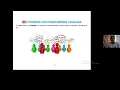 Class 7 Chapter 4 Scratch Programming Basic Concepts Review