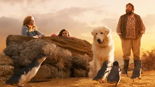 Film Complet HD En Français Opération Pingouin Comédie Humour Enfants Aventure 