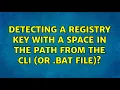 Detecting a registry key with a space in the path from the CLI or bat file