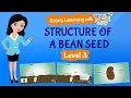 Structure of Seed Parts of a Seed TutWay