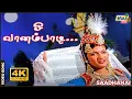 Download Lagu ஓ வானம்பாடி உன்னை நாடி எங்கும் தேடி..| Sivaji Ganesan | Prabhu | Vijaya | Ilaiyaraaja | Raj 4K Songs