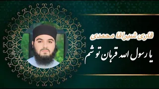 نعت بسیار زیبا و دلنشین یا رسول الله قربان تو شم احمد جانا قربان تو شم با صدای قاری شیرآقا محمدی 