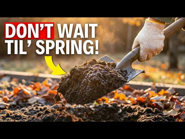 Video: Fix Your Soil NOW, the LAZY Way (5 Easy Steps)