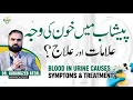 Download Lagu Peshab Mein Khoon Aane Ki Wajuhat Aur Ilaj | Blood In Urine Causes \u0026 Treatment in Urdu/Hindi