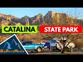 Campground Review Catalina State Park Tucson Arizona
