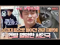 [골라봐야지][ENG] 낯가리면서 사고는 씽크빅으로 저지르는 라쿤에 멘탈 멸망한(?) 서인국｜마리와나｜JTBC 151223 방송 외