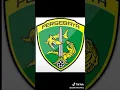 Download Lagu Lagu persebaya