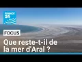 Lagu Les causes d'un écocide en Asie centrale : que reste-t-il de la mer d'Aral ? • FRANCE 24