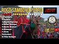 Download Lagu SHAFIRA AUDIO || FULL Album Lagu Jaranan Terbaru ROGO SAMBOYO PUTRO live Sukorame Kediri