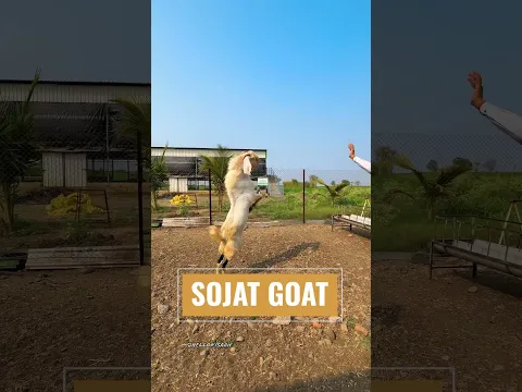 ऐसा खेती जो किस्मत बदल दे !