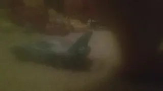 disney pixar cars the kings crash scene