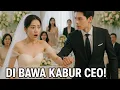 Download Lagu Putri Kaya Dikhianati, Malam Mabuk dengan CEO Berakhir dengan Perebutan di Hari Pernikahan