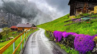 Beautiful Rain Walking Tour In Gimmelwald A Swiss Village 