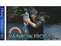 FINAL FANTASY 15 ALL RAINBOW FROGS Locations Guide - The Frogs of Legend Sania sidequest