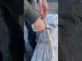 Best way to start a campfire Feather sticks