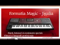 Download Lagu Formatia Magic -  De-as avea fantana in curte