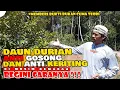 Download Lagu Durian Anti Gosong Daun,Keriting,Kuning.! Caranya Sangat Mudah Jangan Dibikin Susah.JOGLO DURIAN AW‼
