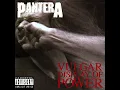 Hollow - Pantera