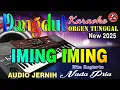 Download Lagu Iming Iming - Rita Sugiarto || Karaoke (Nada Pria) Dangdut  Orgen Tunggal || Audio Jernih