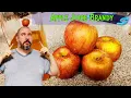 Download Lagu Easy Apple Juice Brandy Recipe | Make Delicious Apple Brandy at Home!!