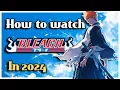 Bleach Watch Guide 2024 How to Watch Bleach in the Right Order