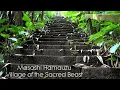 O.S.Tracks [Set 2-3]  - Masashi Hamauzu - Village of the Sacred Beast