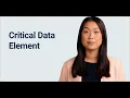 Critical Data Elements