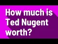 How much is Ted Nugent worth
