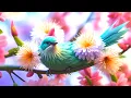 Download Lagu Soulful Restoration: Gentle Music to Calm the Nervous System
