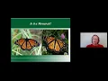 Monarch Butterfly Conservation