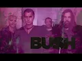 FRIDAY FRESH: BUSH | NOWHERE TO GO BUT EVERYWHERE #dailyspins #nowspinning