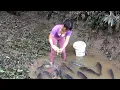Download Lagu Fishing Ancient Fishing Techniques: Harvesting Fish By Draining The Forest Pond | Nguyet Fishing