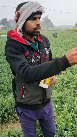 वाराणसी के किसान के खेतों में कैसे लहलहाई फसल  | वनइंडिया हिंदी