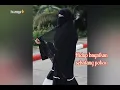 Download Lagu Sepohon Kayu -Wafiq Azizah  lirik