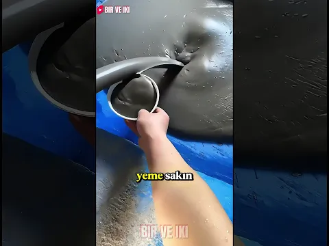 Tabağın İçinden Çıkan Şey Şoke Etti! 😱💩