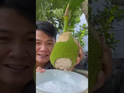 Làm kẹo sumgum từ trái mít