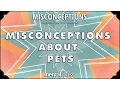 Misconceptions about Pets - mental