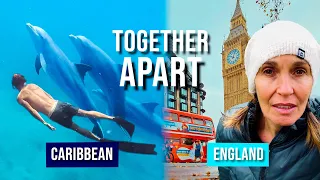 Good & Bad News from 2 continents | Together, apart | Extraordinary dolphin moment!!!