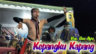 Download KEPANGKU KAPANG ( GEA AYU ) COVER ROGO SAMBOYO PUTRO - RCO AUDIO MP3