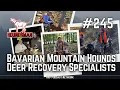 Bavarian Mountain Hounds Deer Recovery Specialists HXP