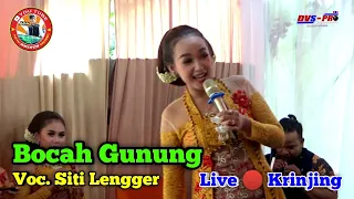 Download Bocah Gunung || Voc. Siti Lengger || New Arista Music || Banjarnegara || Live 🔴 Petir - Krinjing MP3