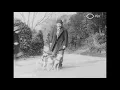 Lagu Marius adore les chiens