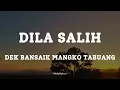 Download Lagu DILA SALIH  - DEK BANSAIK MANGKO TABUANG || LIRIK LAGU MINANG