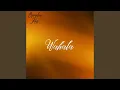 Download Lagu Wahala